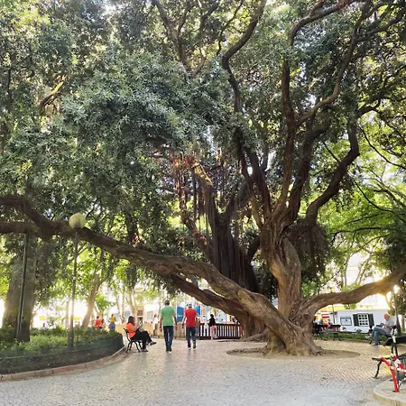 Pensión Campo De Ourique - Art&comfort Lisboa