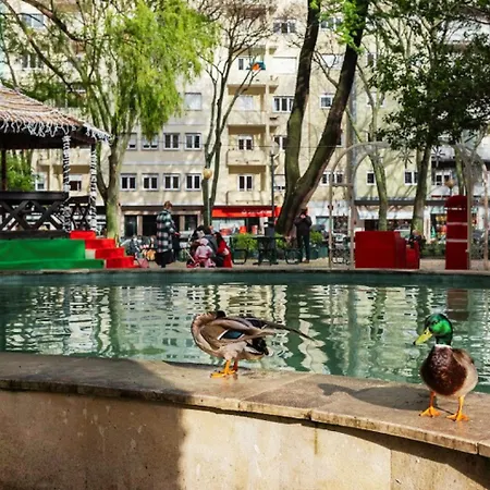 Campo De Ourique - Art And Comfort 게스트하우스